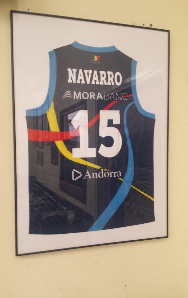 Homenatge a David Navarro