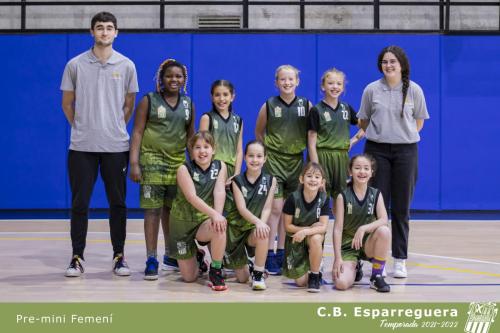 pemini femeni